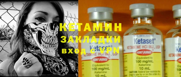 сатива Сосновый Бор
