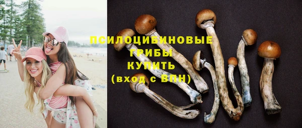 MESCALINE Сосновоборск