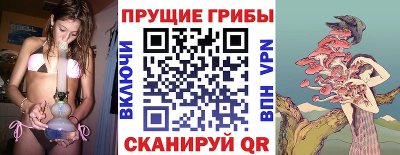 Галлюциногенные грибы Psilocybine cubensis  это Telegram  Ростов 