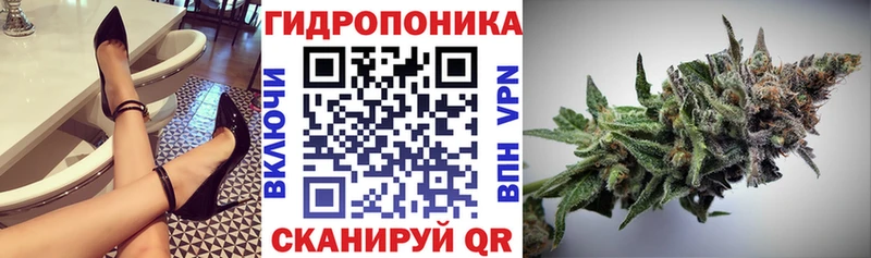 Марихуана OG Kush  дарнет шоп  Ростов 